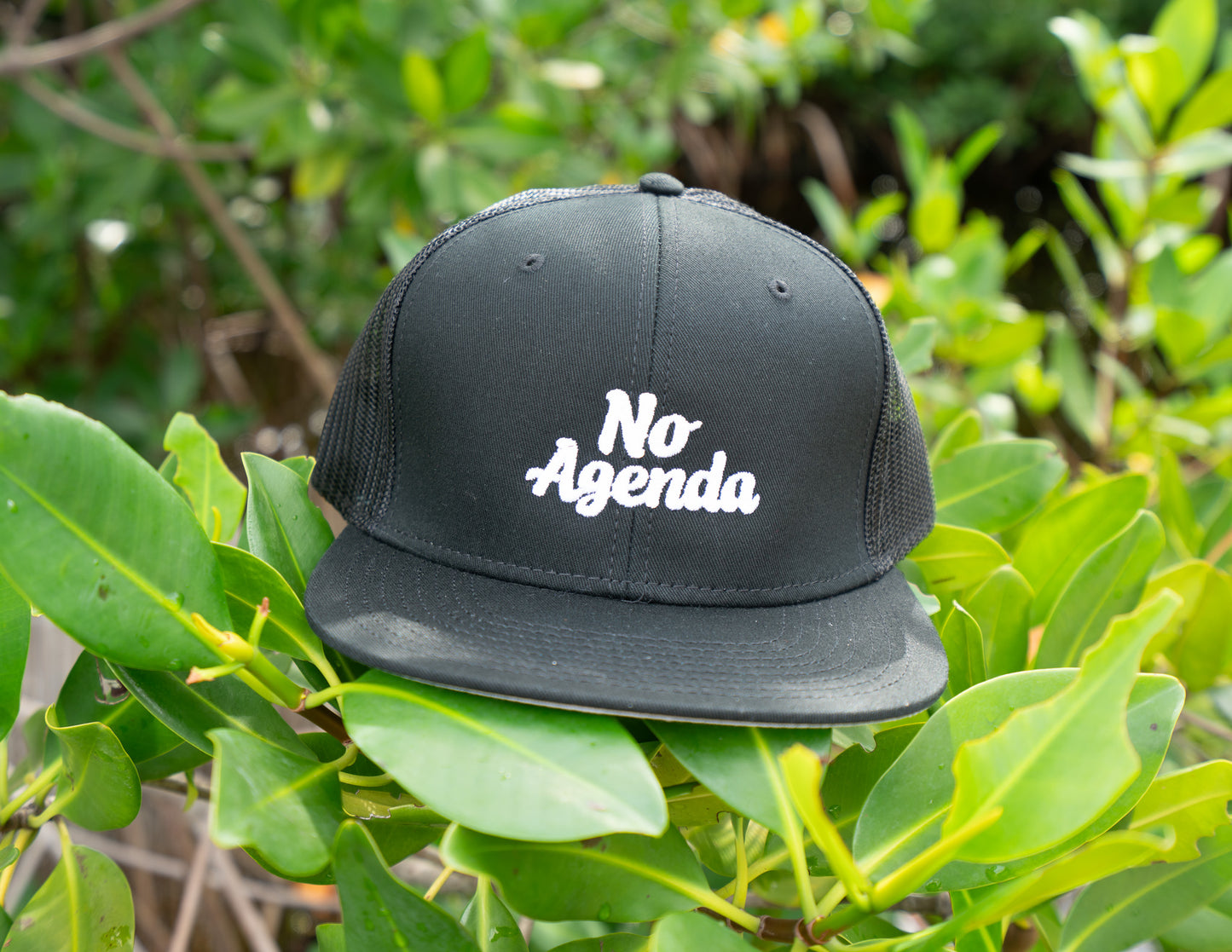 No Agenda Flat Bill