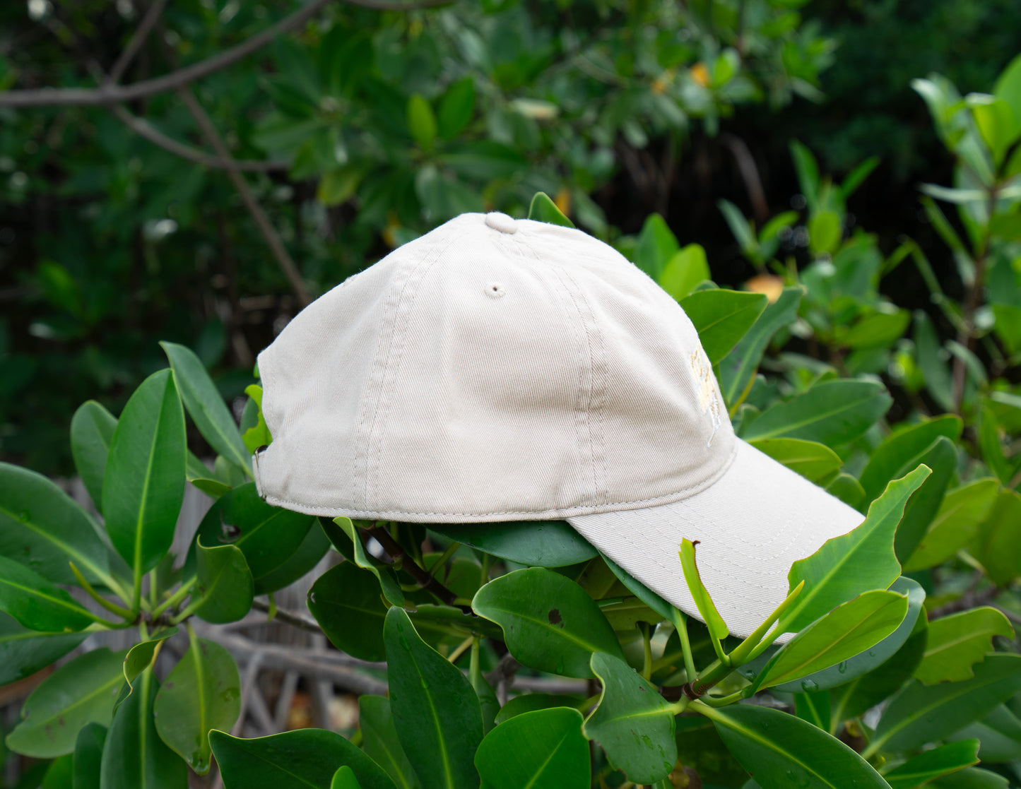 Key West Waterman "Dad Hat"