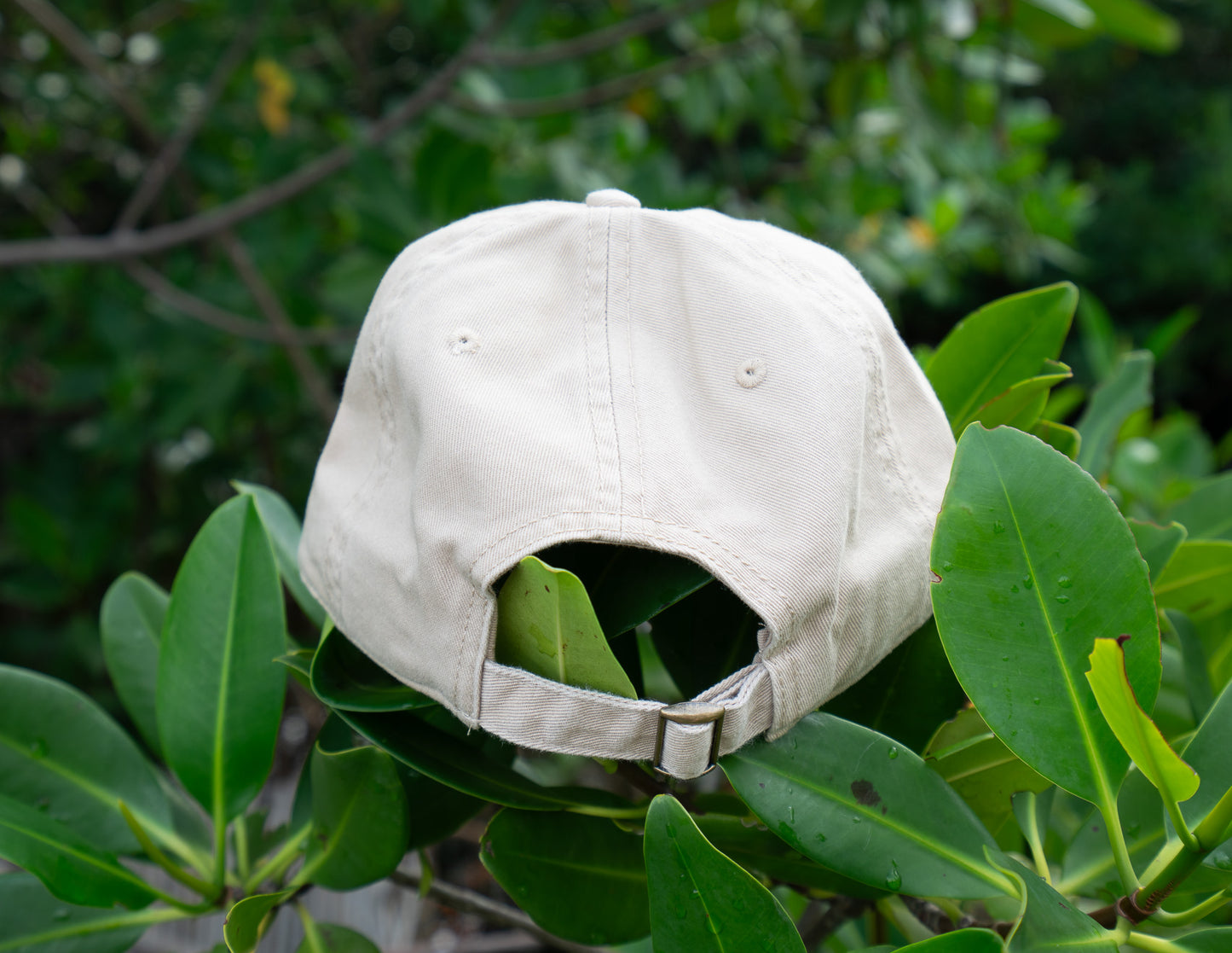 Key West Waterman "Dad Hat"