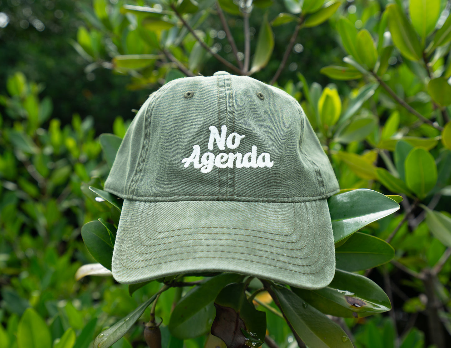 No Agenda "Dad Hat"