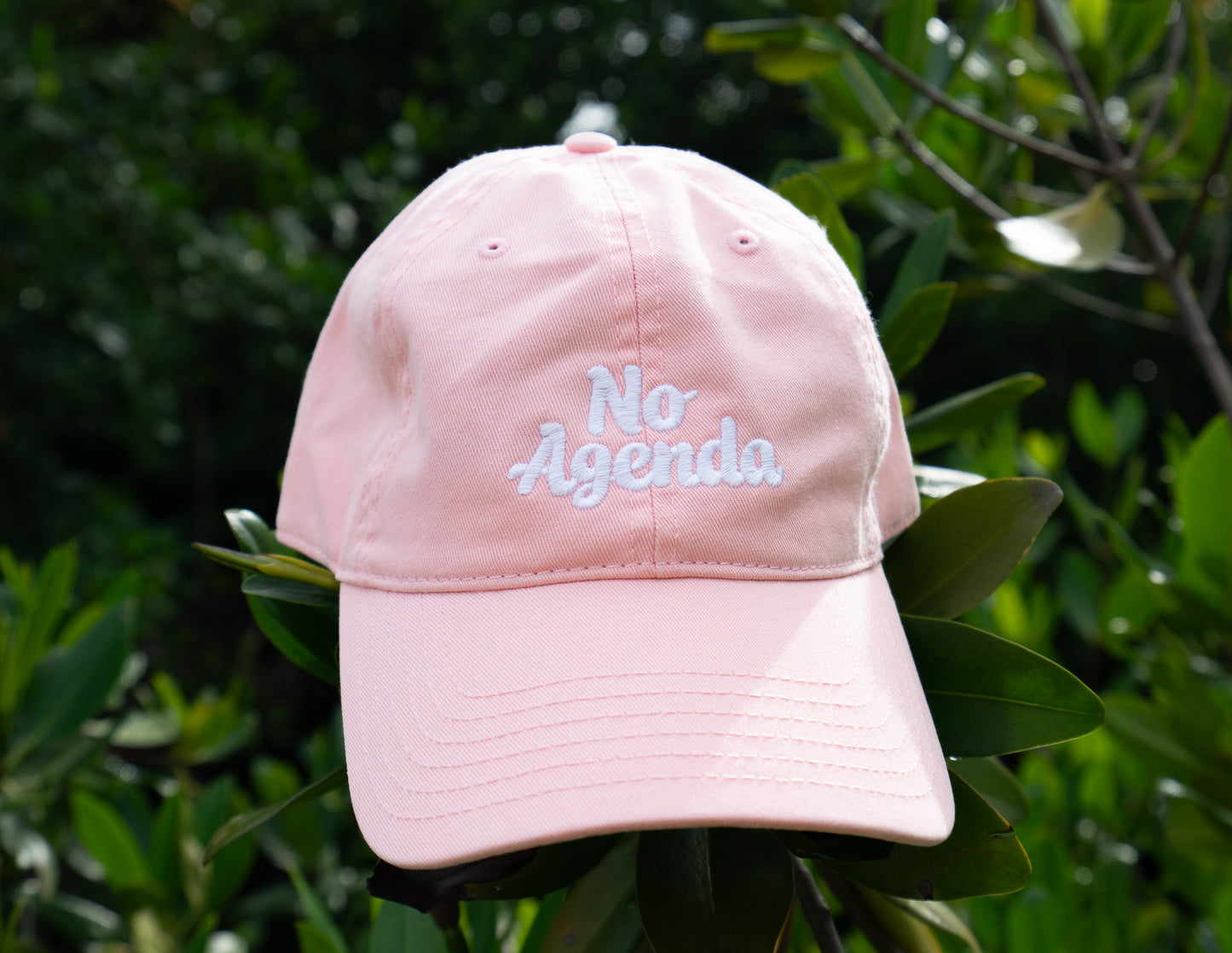 No Agenda "Dad Hat"