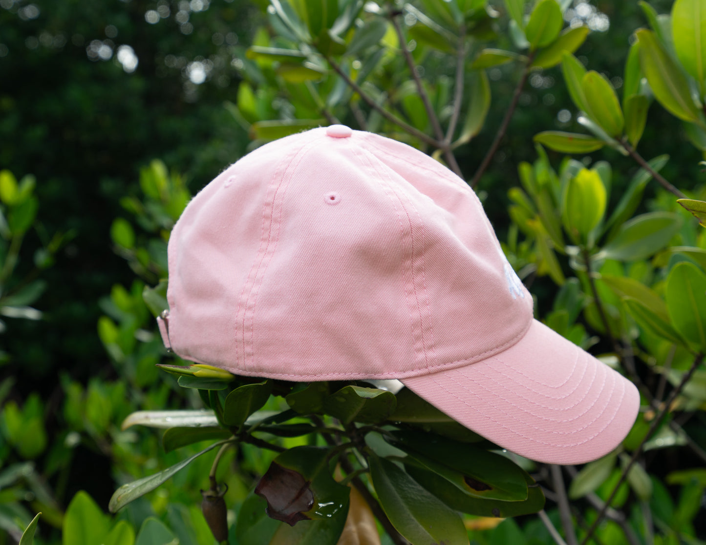 No Agenda "Dad Hat"